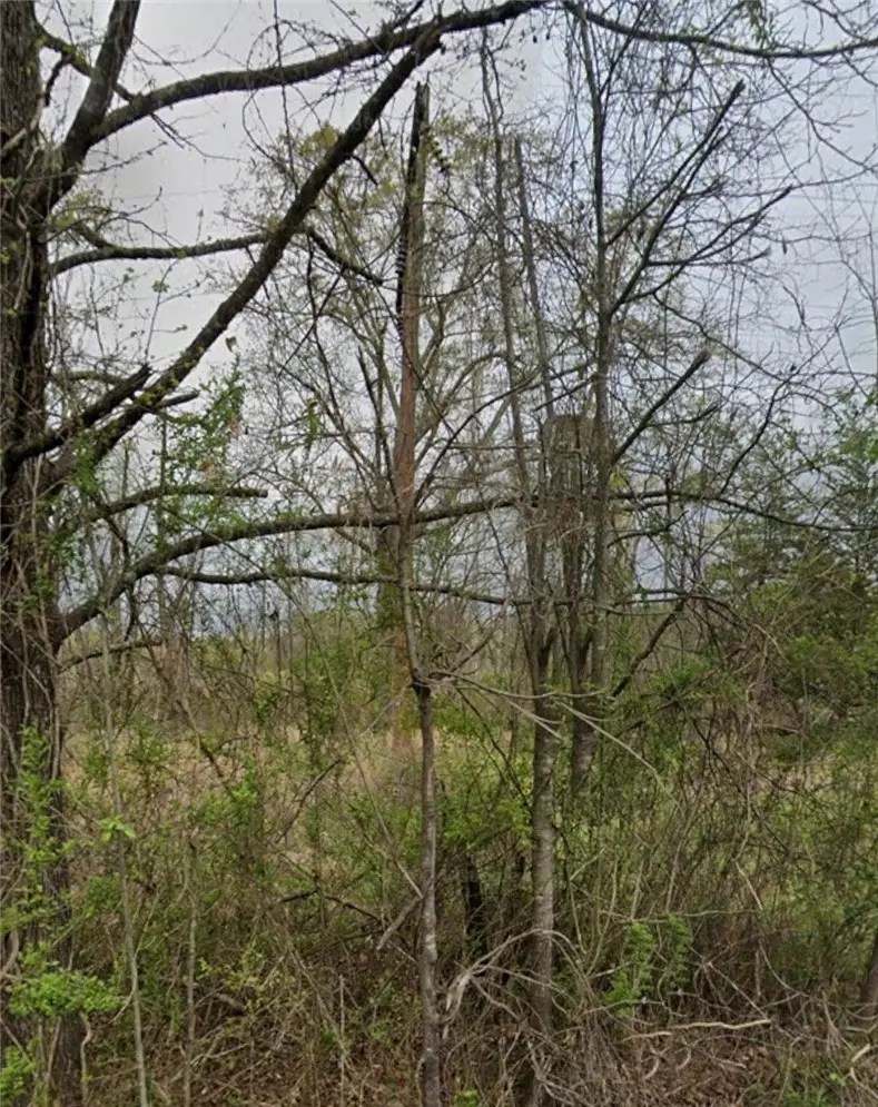 Lot 23-24 SE Alabama Street, Camden, AR 71701 - #1