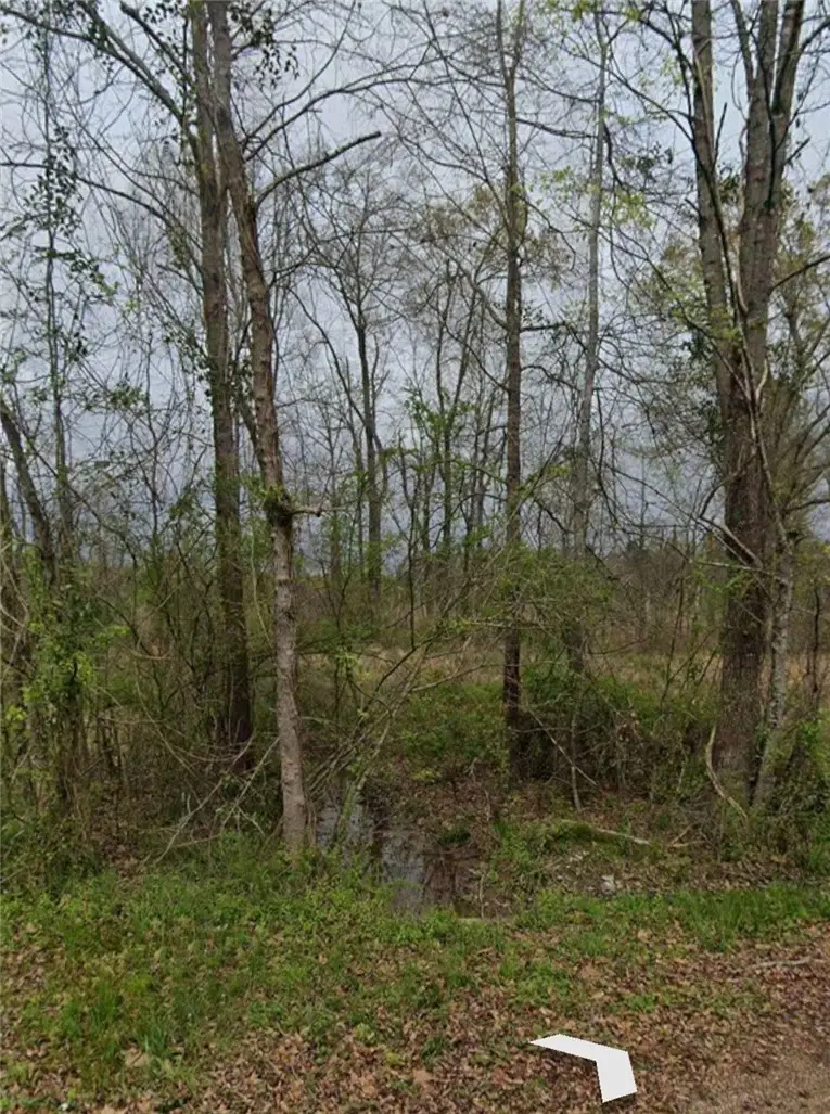 Lot 23-24 SE Alabama Street, Camden, AR 71701 - #2