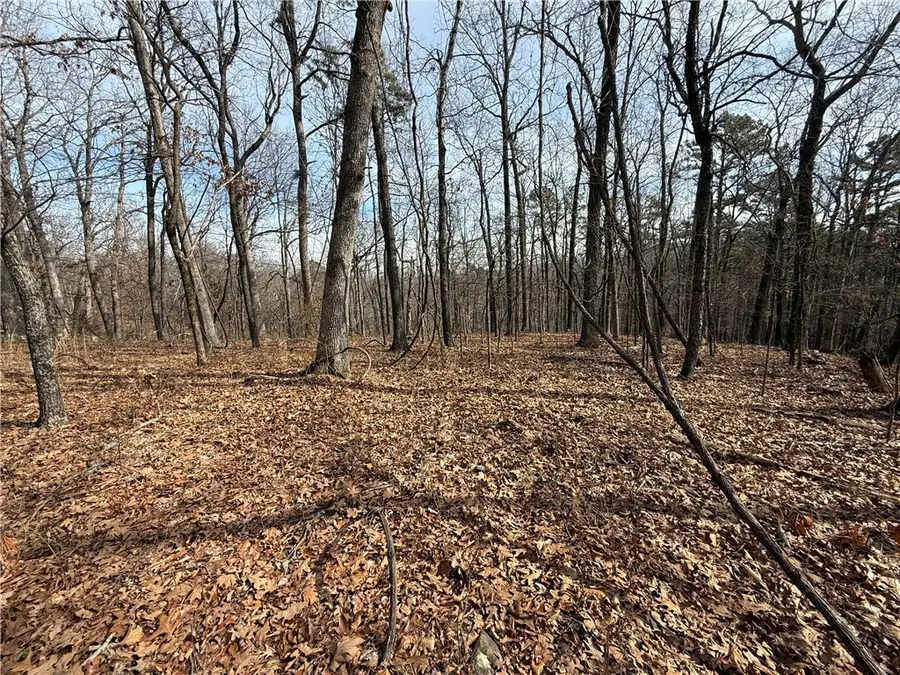 Address Withheld By Seller, Eureka Springs, AR 72632 - Image #2