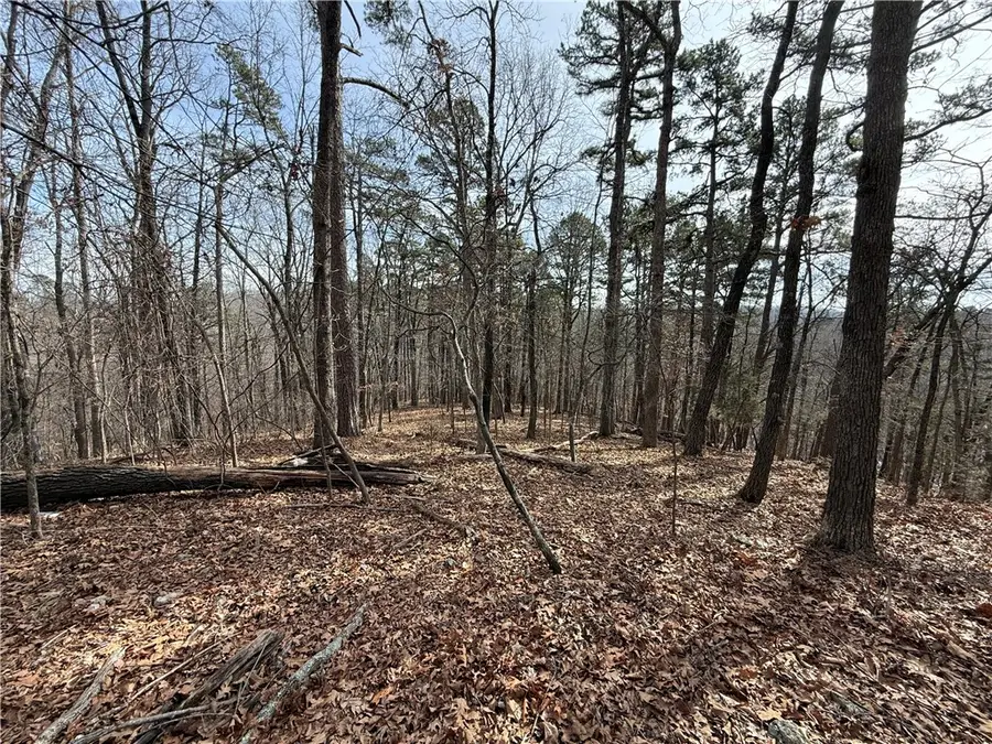 Address Withheld By Seller, Eureka Springs, AR 72632 - Image #3