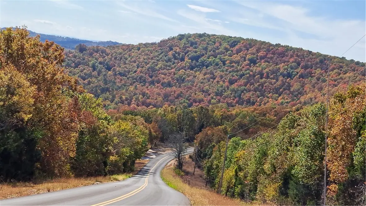 21133 Stonington Road, Omaha, AR 72662 - #1