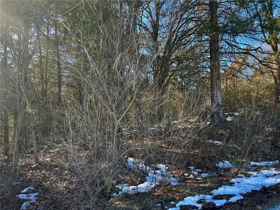 TBD Lake View Street, Lead Hill, AR 72644 - #2