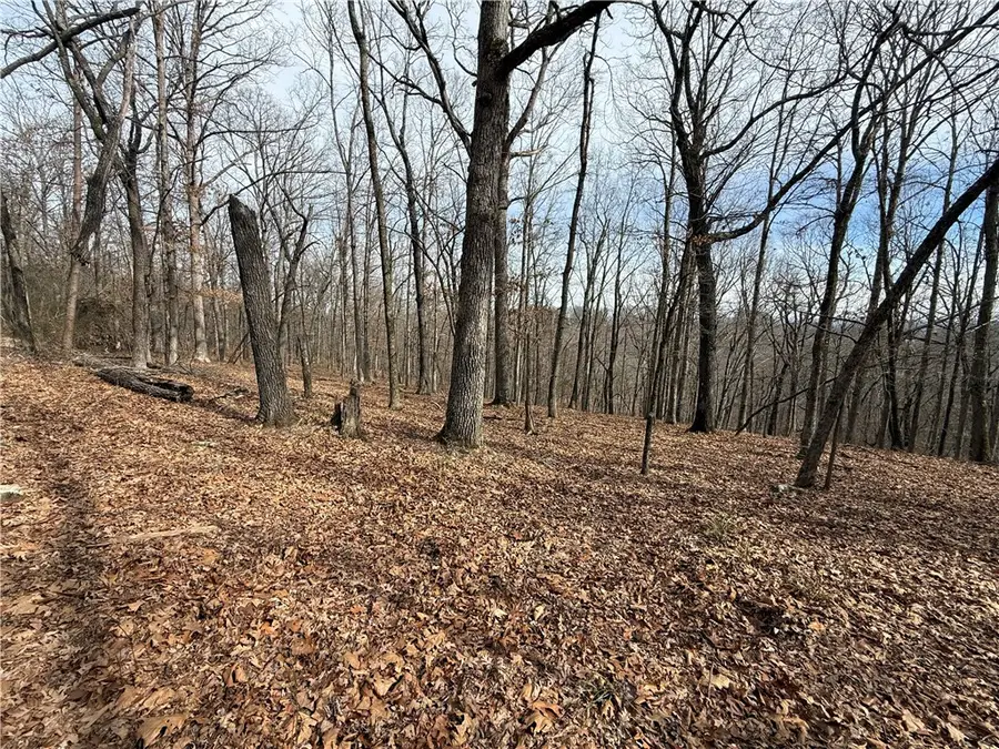 Tract 3 Cardinal Ridge Road, Eureka Springs, AR 72632 - Image #2