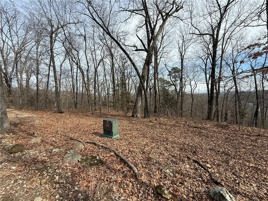 Tract 4 Cardinal Ridge Road, Eureka Springs, AR 72632 - Image #2