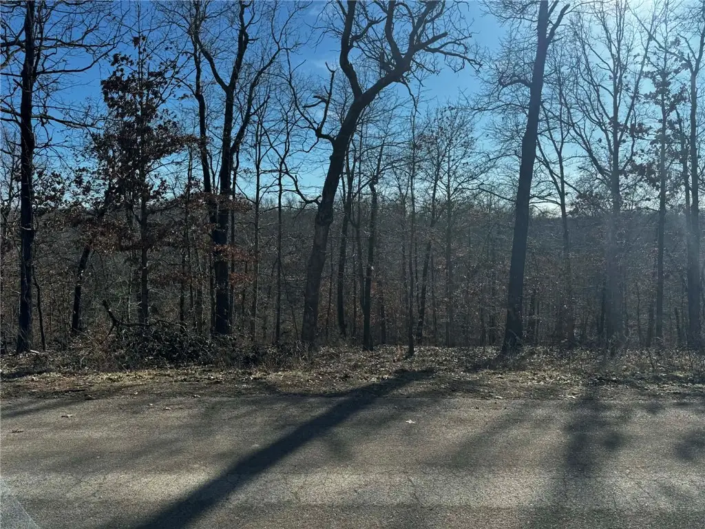 Lot 16 Montgomery Lane, Bella Vista, AR 72715 - #1