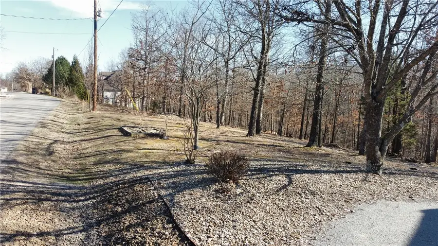 Hopeman Lane, Bella Vista, AR 72715 - #2