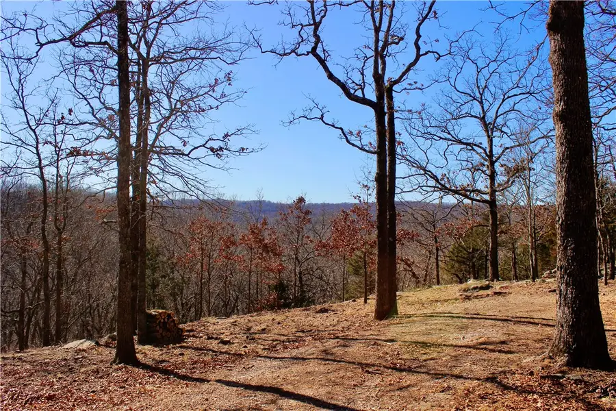 16001 Union Star Road, Lees Creek, AR 72774 - #2