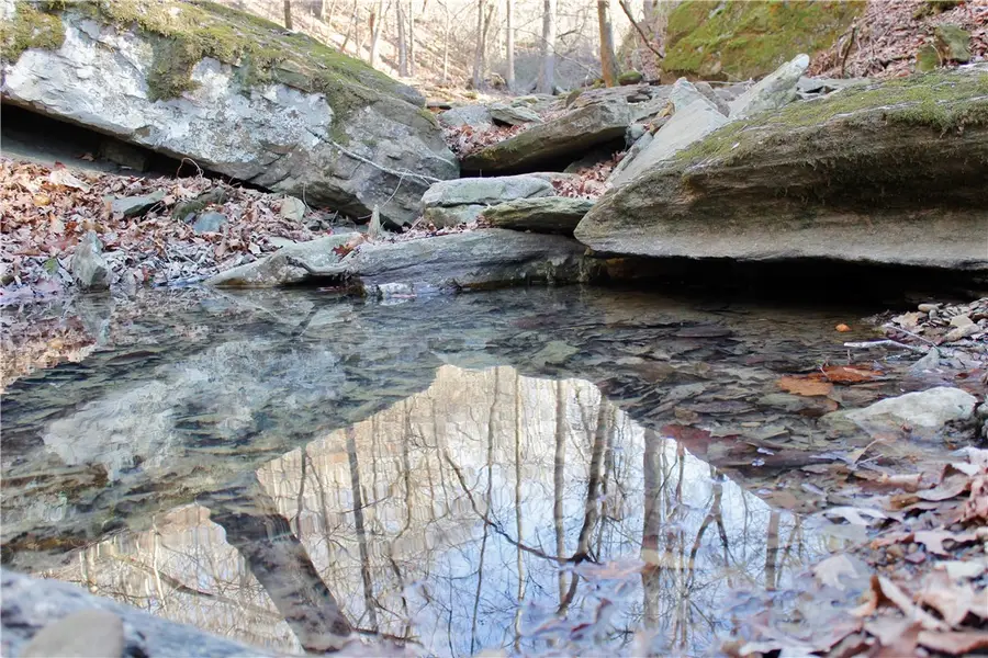 16001 Union Star Road, Lees Creek, AR 72774 - #3