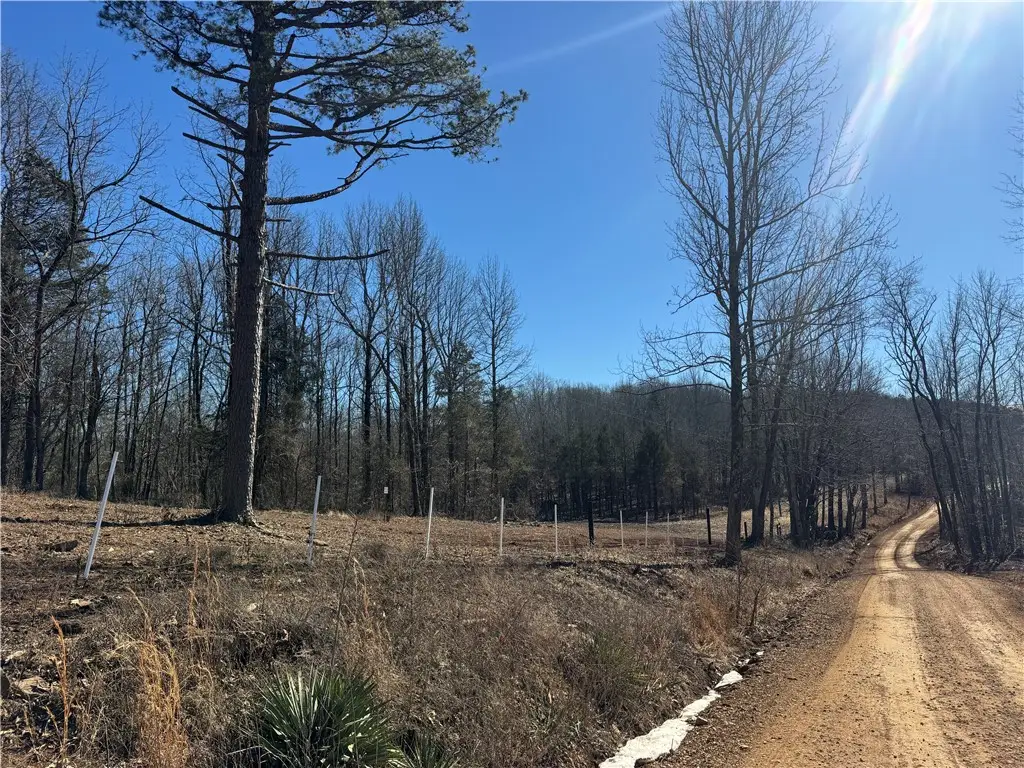 953 Nc 8920, Deer, AR 72628 - #1