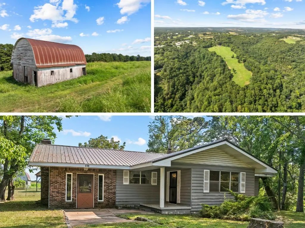 119 E Walnut Lane, Omaha, AR 72662 - #1