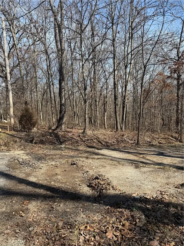 11 Pamela Lane, Bella Vista, AR 72715 - #2