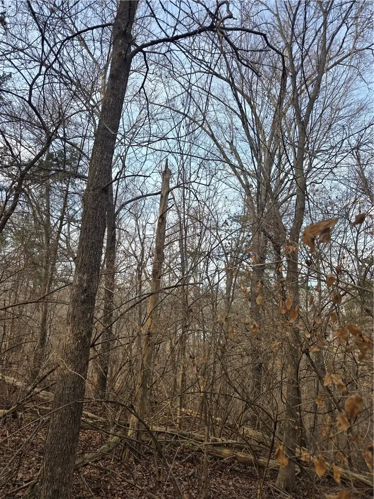 17912 Driftwood Approach, Brush Creek, AR 72774 - #3