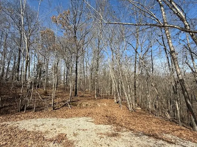Lot 12 Block 8 Riding Lane, Bella Vista, AR 72714 - #1