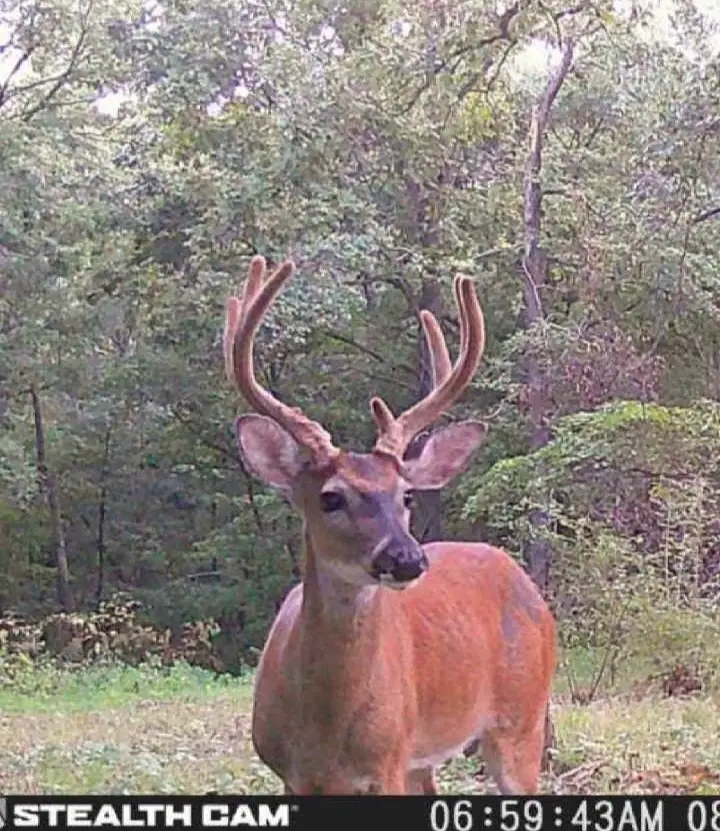 22709 Whippoorwill Lane, Springdale, AR 72762 - #3