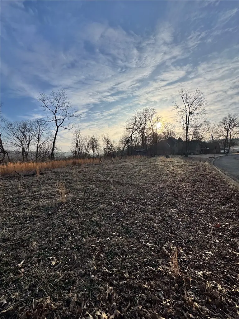 Lot 26 Willis Lane, Pea Ridge, AR 72751 - #3