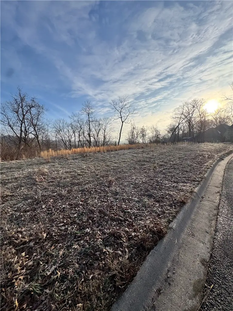 Lot 25 & 26 Willis Lane, Pea Ridge, AR 72751 - #3