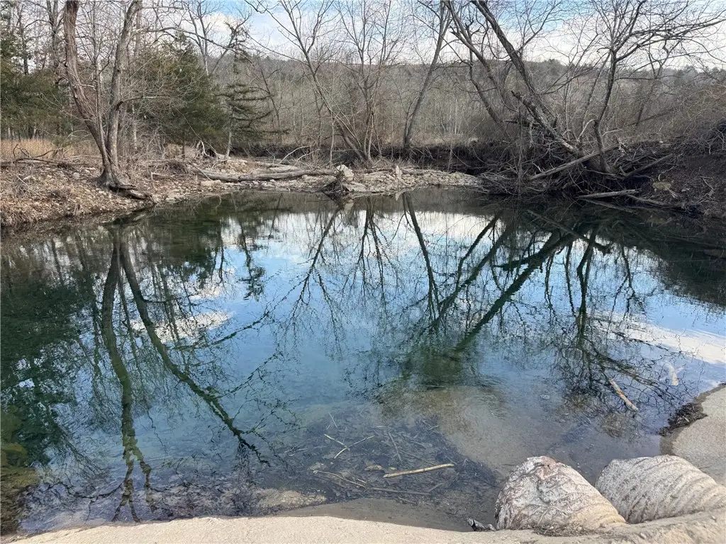 Off Cedar Grove Road, Lead Hill, AR 72644 - #1