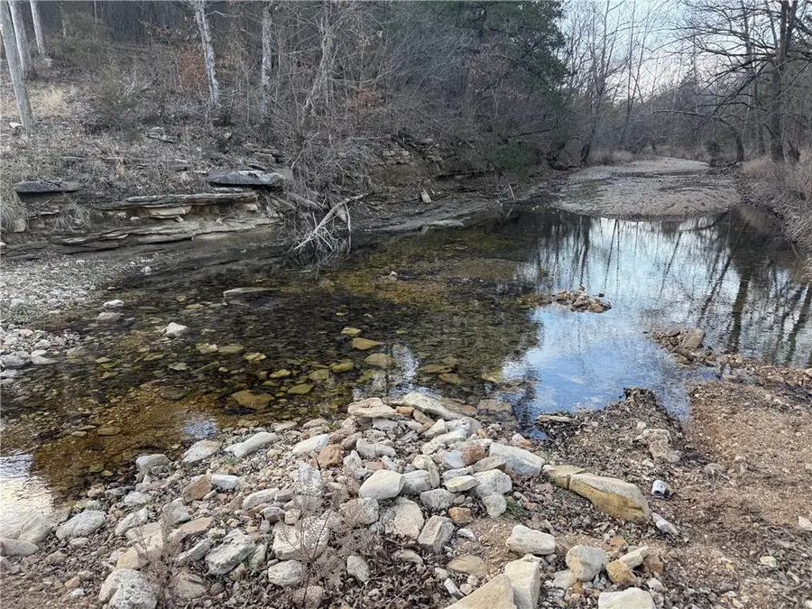 Off Cedar Grove Road, Lead Hill, AR 72644 - #2