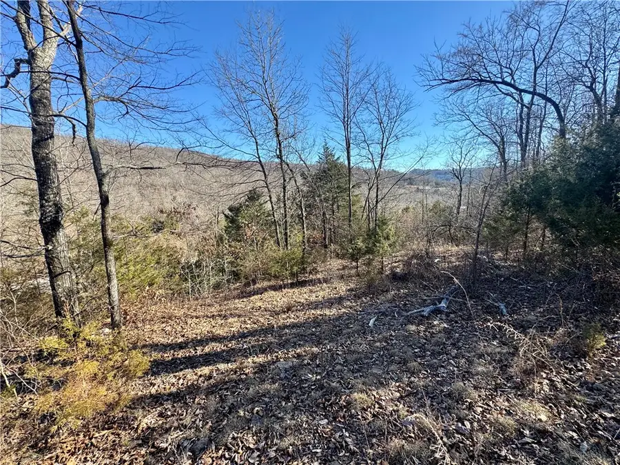 Hazel Valley Road, Fayetteville, AR 72701 - #3