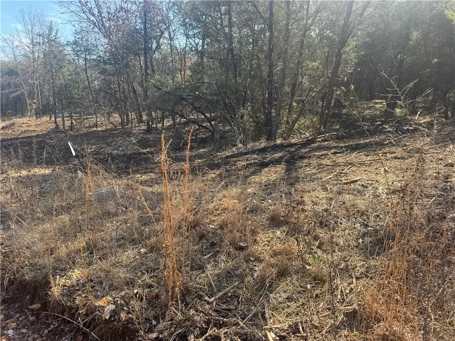 TBD 2.43 Acres County Rd 3271, Berryville, AR 72616 - #2