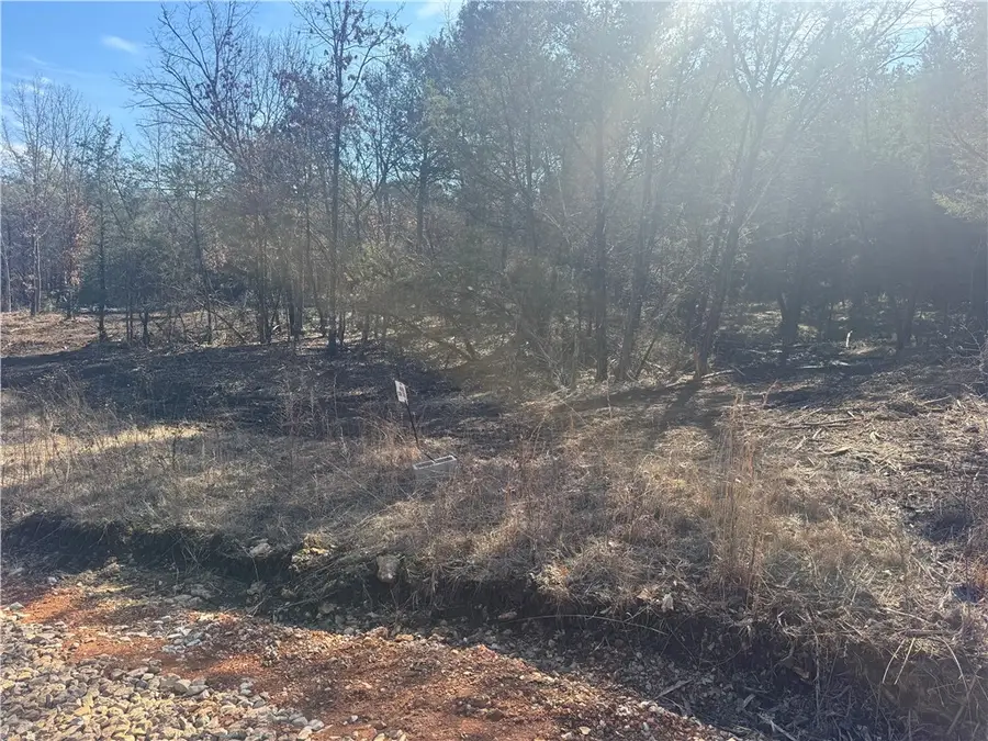 TBD 2.43 Acres County Rd 3271, Berryville, AR 72616 - #3