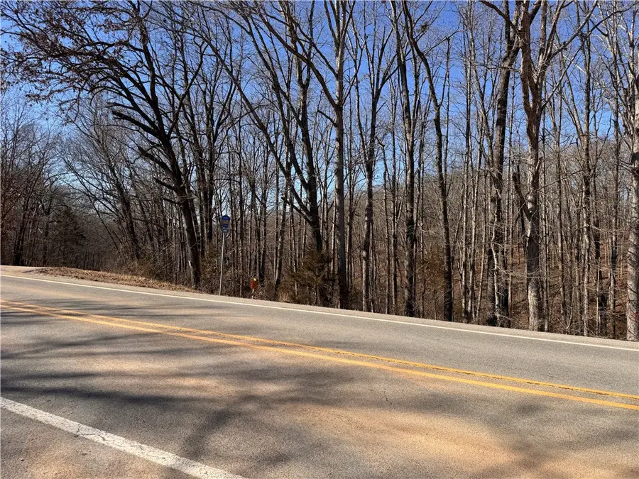 Tract 4 Madison 1279 Street, Huntsville, AR 72740 - #3