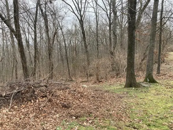 000 W Circle Drive, Greenland, AR 72701