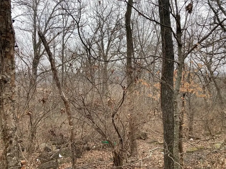 000 W Circle Drive, Greenland, AR 72701 - #2