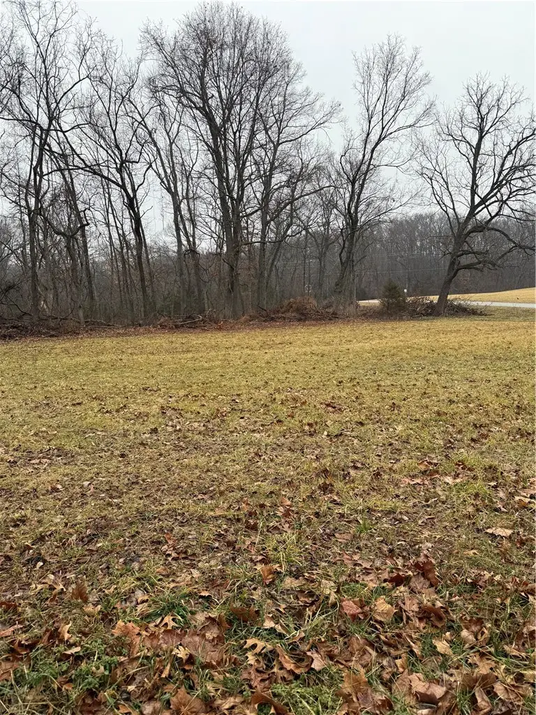 2.92AC Highway 62 Wild Honey Drive, Garfield, AR 72732 - #3