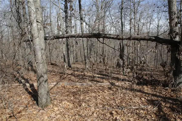 Lot 2 Jimmy Lane, Bella Vista, AR 72715