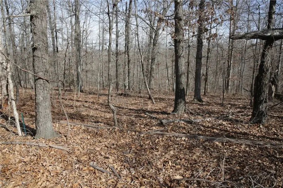 Lot 2 Jimmy Lane, Bella Vista, AR 72715 - #2