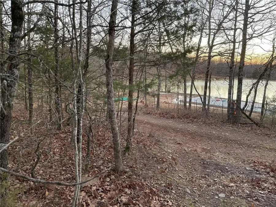 TBD 000 Plumlee Rd, Compton, AR 72611 - #3