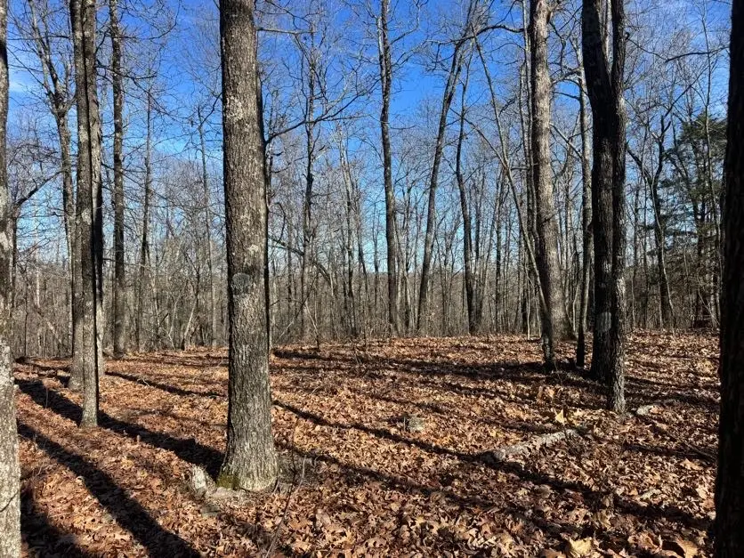 TBD 001 Plumlee Rd, Compton, AR 72611 - #2