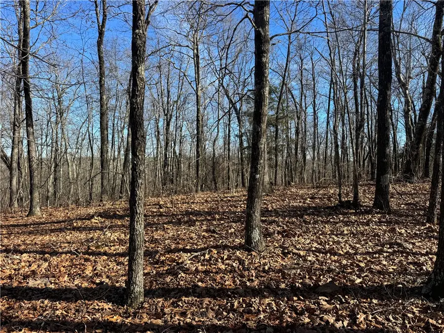 TBD 001 Plumlee Rd, Compton, AR 72611 - #3