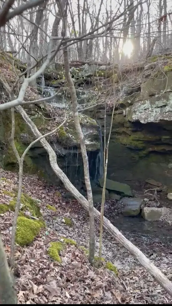 TBD 002 Plumlee Rd, Compton, AR 72611