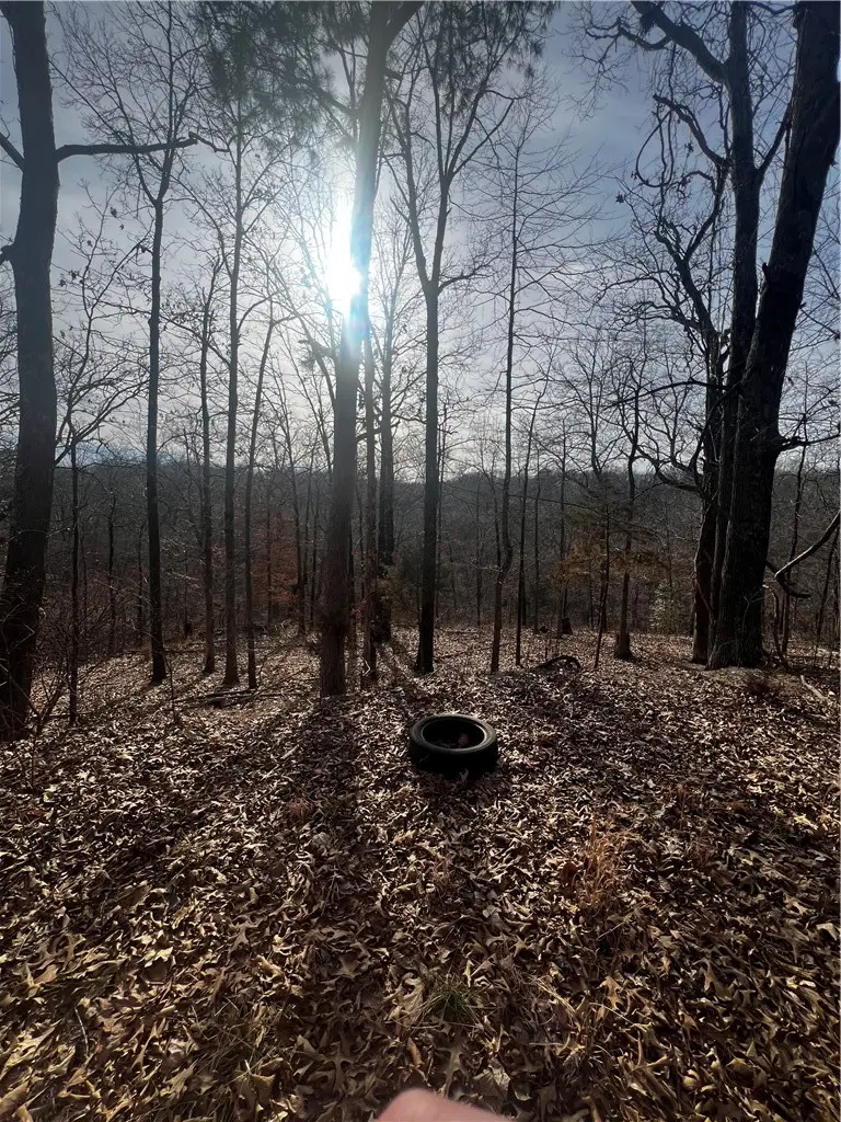 5 Lune Lane, Bella Vista, AR 72714 - #3