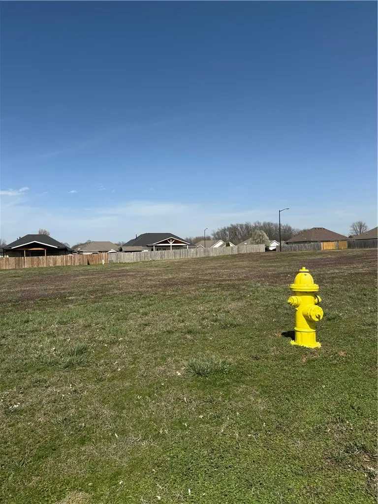 1303 E Cheri Whitlock Drive, Siloam Springs, AR 72761 - #3