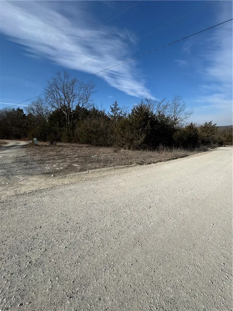 001-00905-001 Thousand Oaks Road, Yellville, AR 72687 - #3