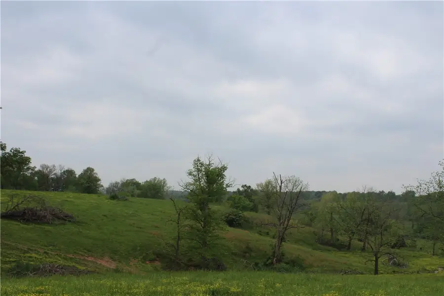 2482 Rocky Comfort Road, Gentry, AR 72734 - #3