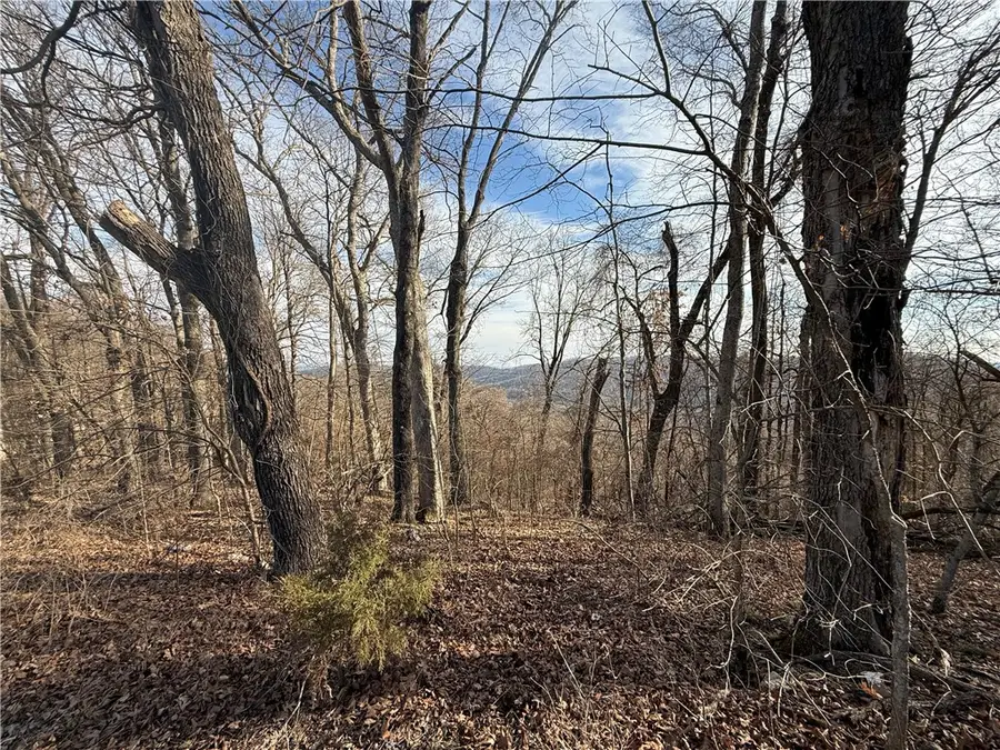 258 Holiday Island Drive, Holiday Island, AR 72631 - #2