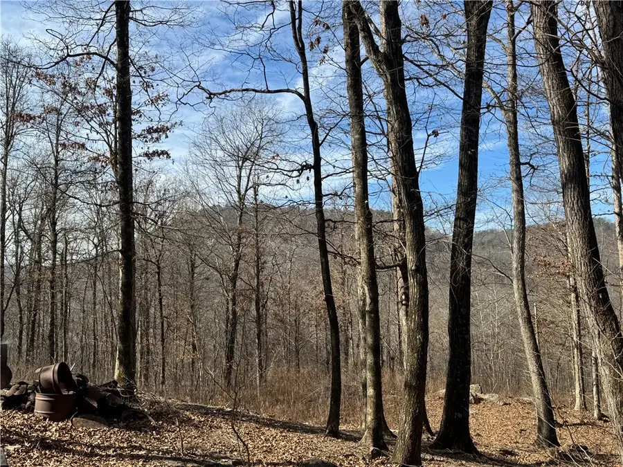 1906 Nc 8863, Jasper, AR 72641 - #2