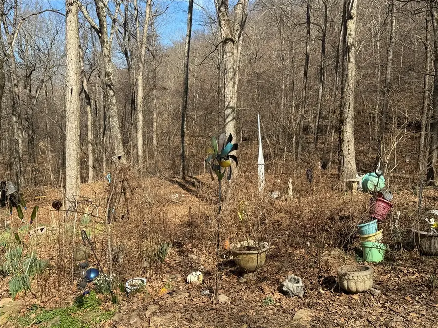 1906 Nc 8863, Jasper, AR 72641 - #3