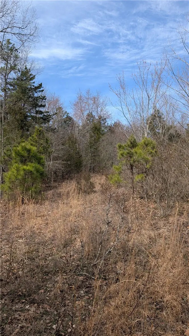 124 Highway, Appleton, AR 72823 - #2