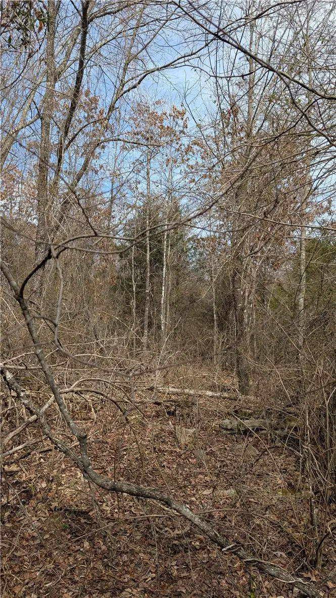 124 Highway, Appleton, AR 72823 - #3