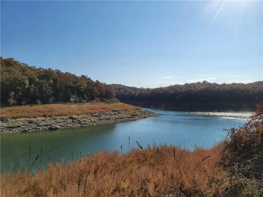 TBD Pilots Cove Lane, Yellville, AR 72687 - #2