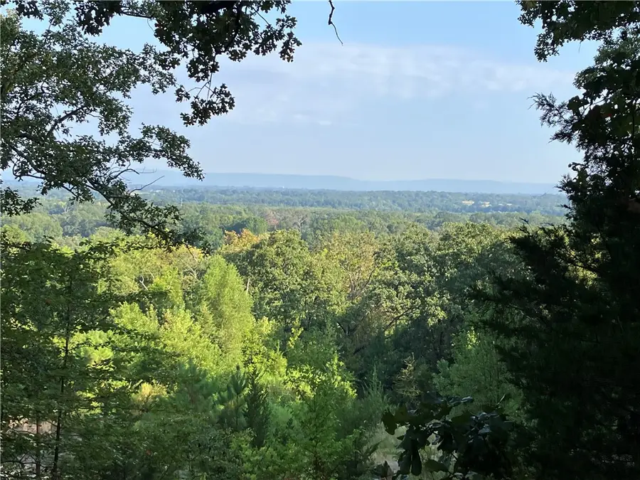 705 Cr-2291, Hartman, AR 72840 - #2