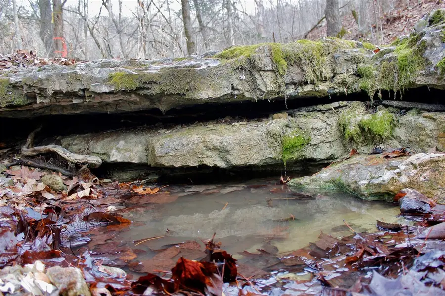 Cr-1089, Eureka Springs, AR 72632 - #3