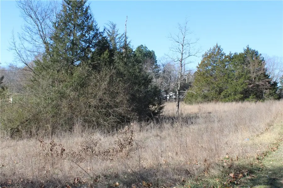 3481 S Highway 14, Yellville, AR 72687 - #2