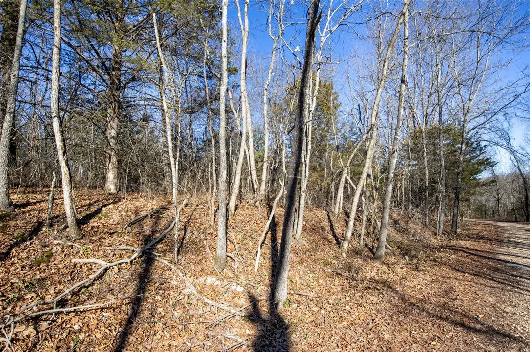 22 Granshire Circle, Bella Vista, AR 72714 - #1