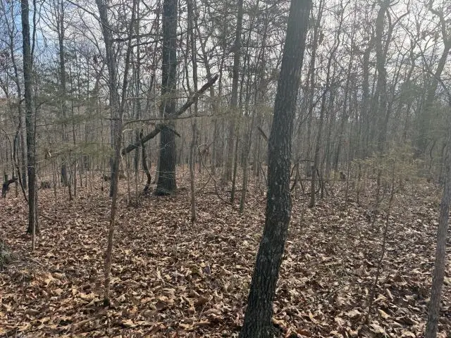 Tract 3 Mc 8003, Yellville, AR 72687 - #3